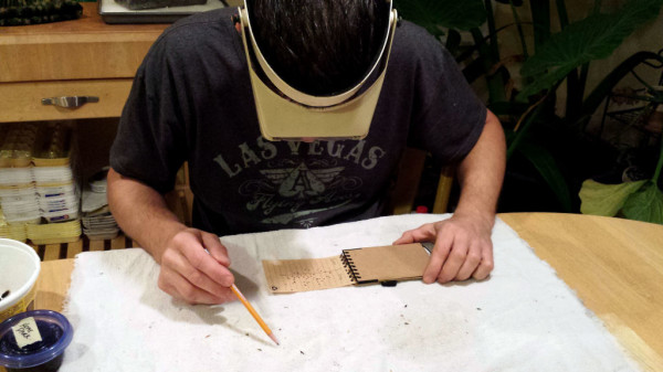 Counting varroa mites from bee sample.
